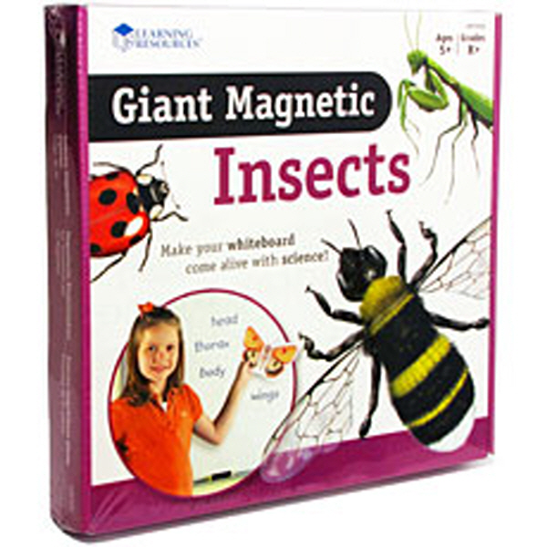 [EDU 6042] 특대형 자석 곤충 모형 Giant Magnetic Insects