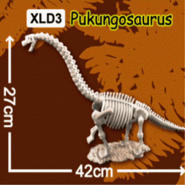 한반도 공룡뼈발굴(특대형) - 부경고사우루스 / 중생대공룡 / 백악기공룡