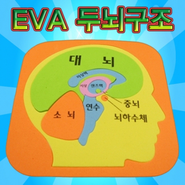 EVA 두뇌구조 퍼즐 7개 / 퍼즐로 배우는 두뇌구조