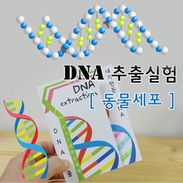 동물세포 DNA추출법 (10인용)