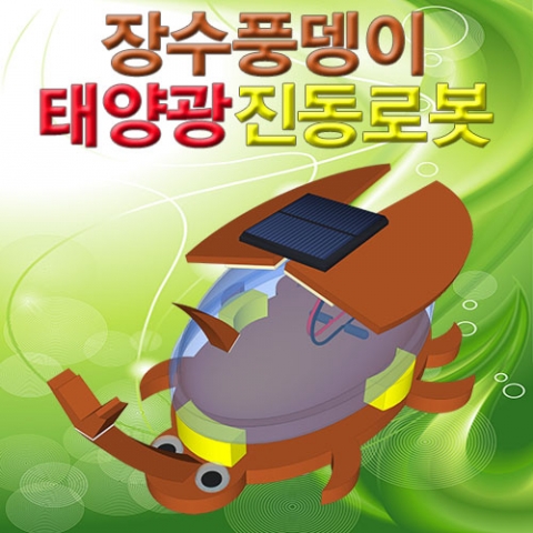 장수풍뎅이 태양광 진동로봇 (5인용) / 태양전지판 이용 / 스팀융합 과학교구