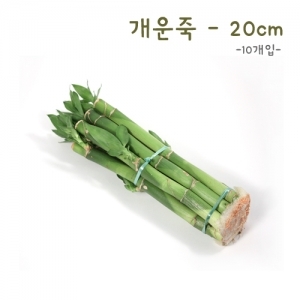 [식물키우기] 개운죽30cm-10P *최소수량 3개