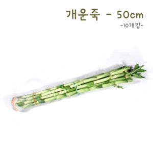 [식물키우기] 개운죽50cm-10P *최소수량 3개