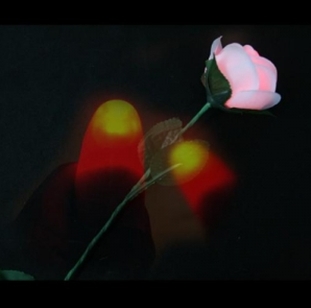 [마술교구]3단불빛장미(충전식)+딜라이트(빨강불빛)+충전기