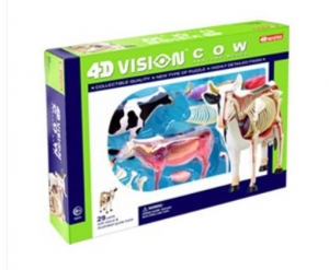 [3D퍼즐] 동물모양퍼즐 -소 / 소 해부모형 / 소 입체모형 / 소 입체퍼즐
