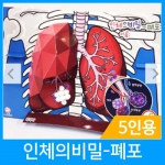 [사이언스존] 인체의 비밀-폐포 (5인용) / 우리 몸의 구조와 기능 / 호흡계 / 외호흡