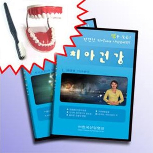 치아건강 세트 (kim3-312) CD+치아모형 / 우레탄 재질 / 올바른 양치질 교육 / 충치예방 교육