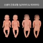 신생아 간호모형 (남자아이 / 여자아이) 육아실습 / 목, 팔, 다리 동작 가능 / 신생아 목욕시키기 교육