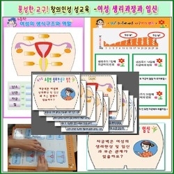 창의인성 성교육 - 여성생리과정과 임신 (KIM1-19) / 여성생식기 구조와 생리과정 학습 / 교사용자료와 학생용 모둠활동판