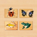동물퍼즐 세트 C-무당벌레,나비,물고기,개구리