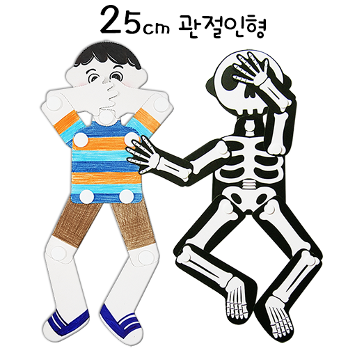 25cm 관절인형 (앞면은 무지, 뒷면은 인체의 뼈대 인쇄) / 종이관절인형