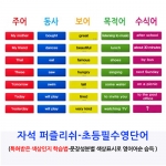 [영어자석교구] 영어문장 자석 퍼즐리쉬 - 초급편 영어단어추가카드 / 초등필수영어단어-월, 요일, 날씨, 인칭대명사 / 영어단어자석카드 / 영어 학습보드게임 / 색상인지학습법