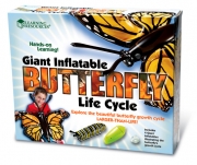 [EDU 1801] 나비의 일생 모형 (4종) Inflatable Butterfly Life Cycle / 나비한살이