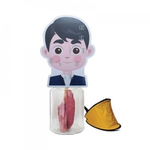 [금연교육]신형 정상폐 단품 set (LS03901)