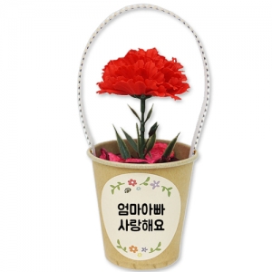 카네이션 화분방향제(5인용) / 어버이날선물 / 카네이션선물