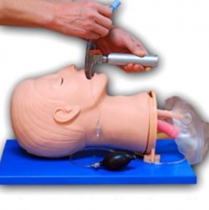 응급처치 교육용 기도폐쇄조치 훈련용 기도확보 실습모형/ 라링고스코프 포함/모형+튜브+전용가방