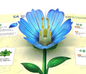 SA 입체 꽃 관찰하기-꽃의 구조와 기능 (4인 세트) / 꽃팝업북 / 암술,수술,꽃잎,꽃받침