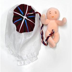 6개월임신태아+양수막모형  / 6개월 태아모형 / 탯줄, 태반, 양수막 / 임신&middot;출산교육