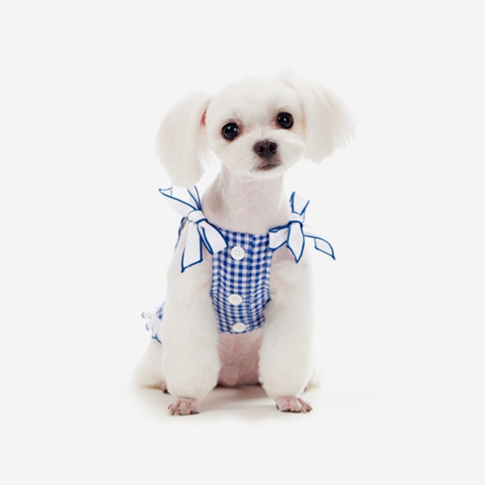 Gingham Check Ribbon Shirt (Blue)