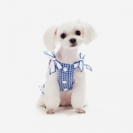 Gingham Check Ribbon Shirt (Blue)