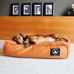 ORANGE EDGE BED