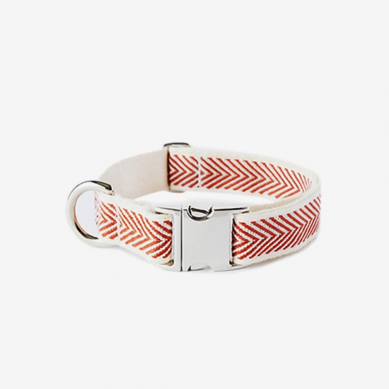 RED COBY SILVER COLLAR