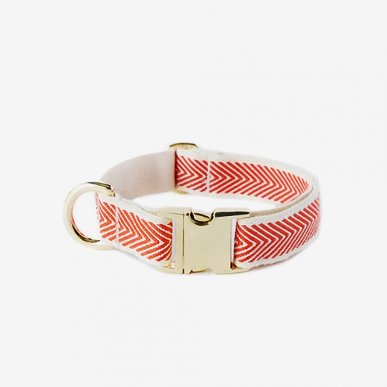 ORANGE COBY SILVER COLLAR