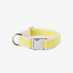 YELLOW COBY SILVER COLLAR