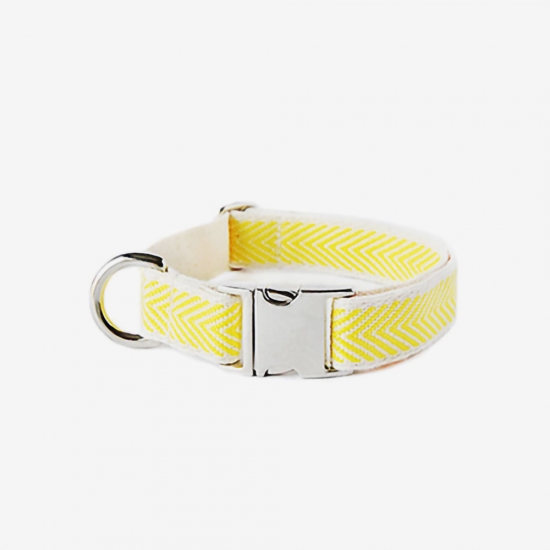 YELLOW COBY SILVER COLLAR