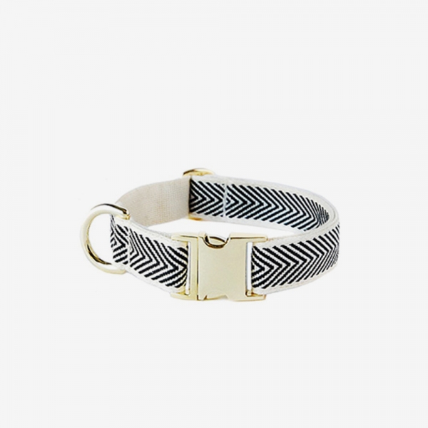 BLACK COBY GOLD COLLAR