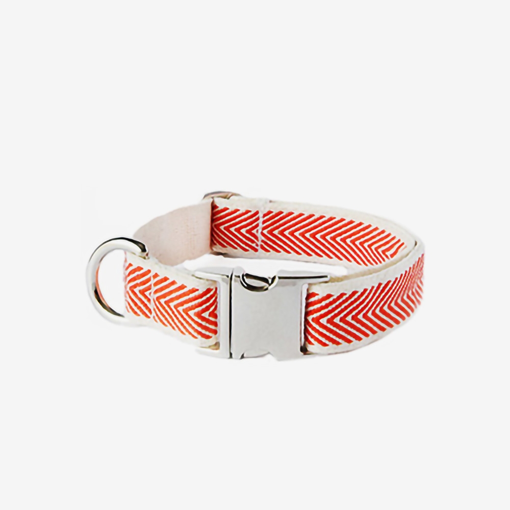 ORANGE COBY GOLD COLLAR