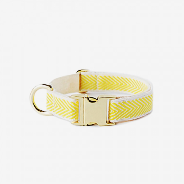 YELLOW COBY GOLD COLLAR