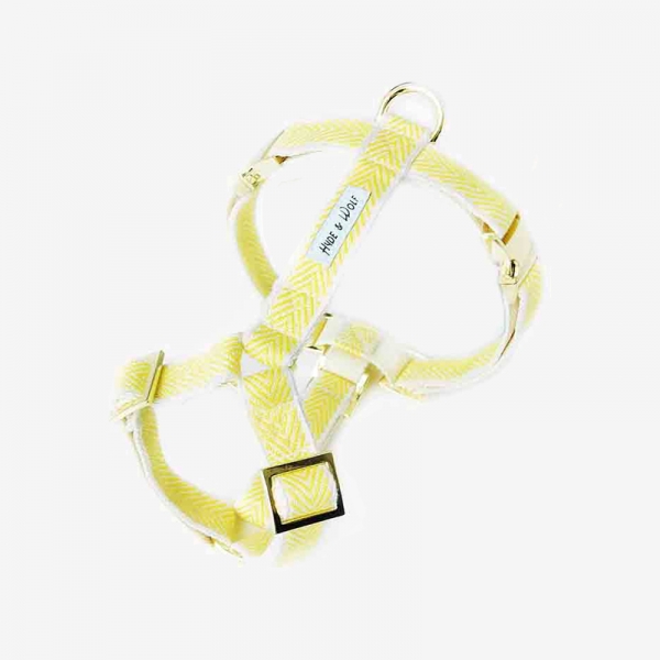 YELLOW COBY GOLD HARNESS