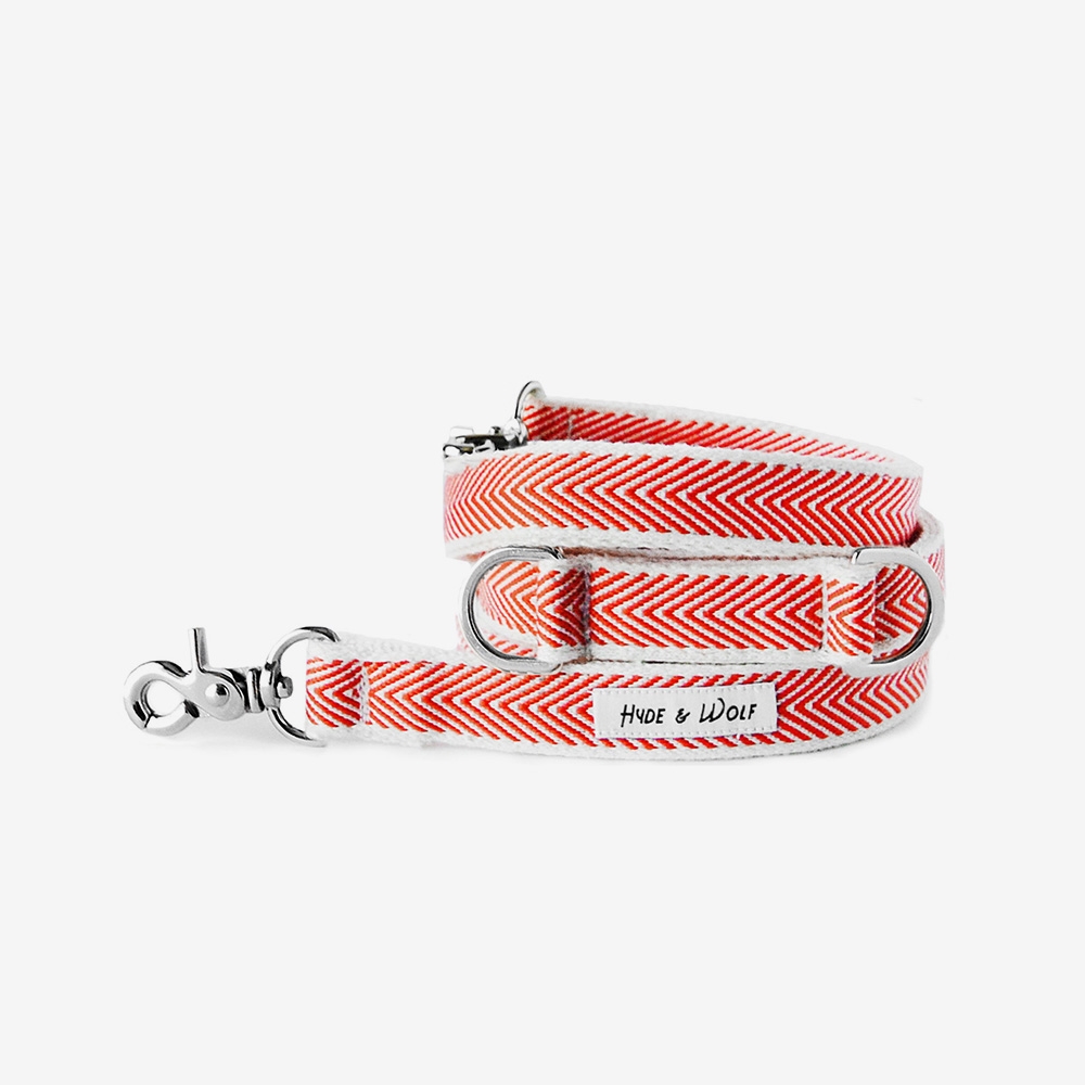 ORANGE COBY SILVER LEASH