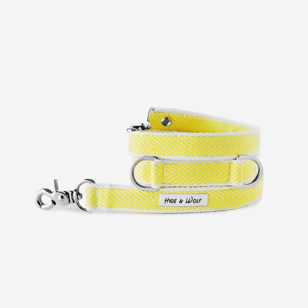 YELLOW COBY SILVER LEASH