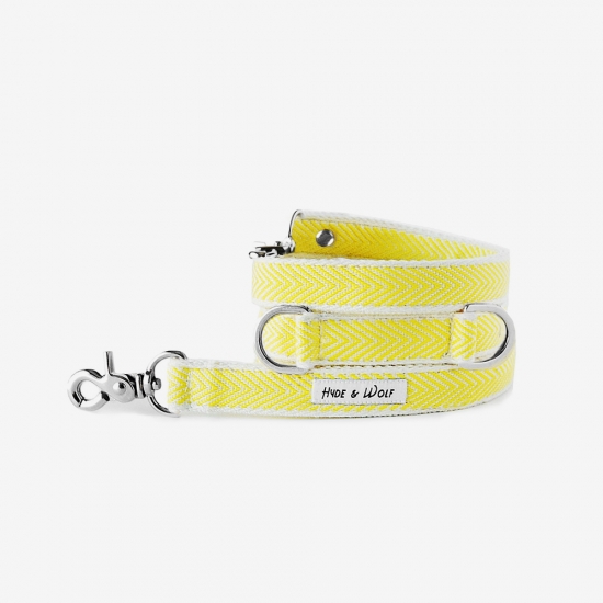 YELLOW COBY SILVER LEASH