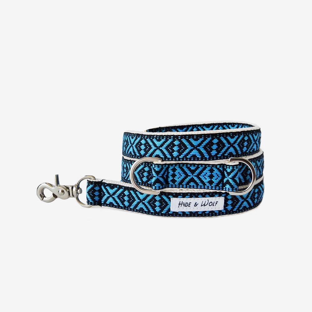 BLUE MOON SILVER LEASH