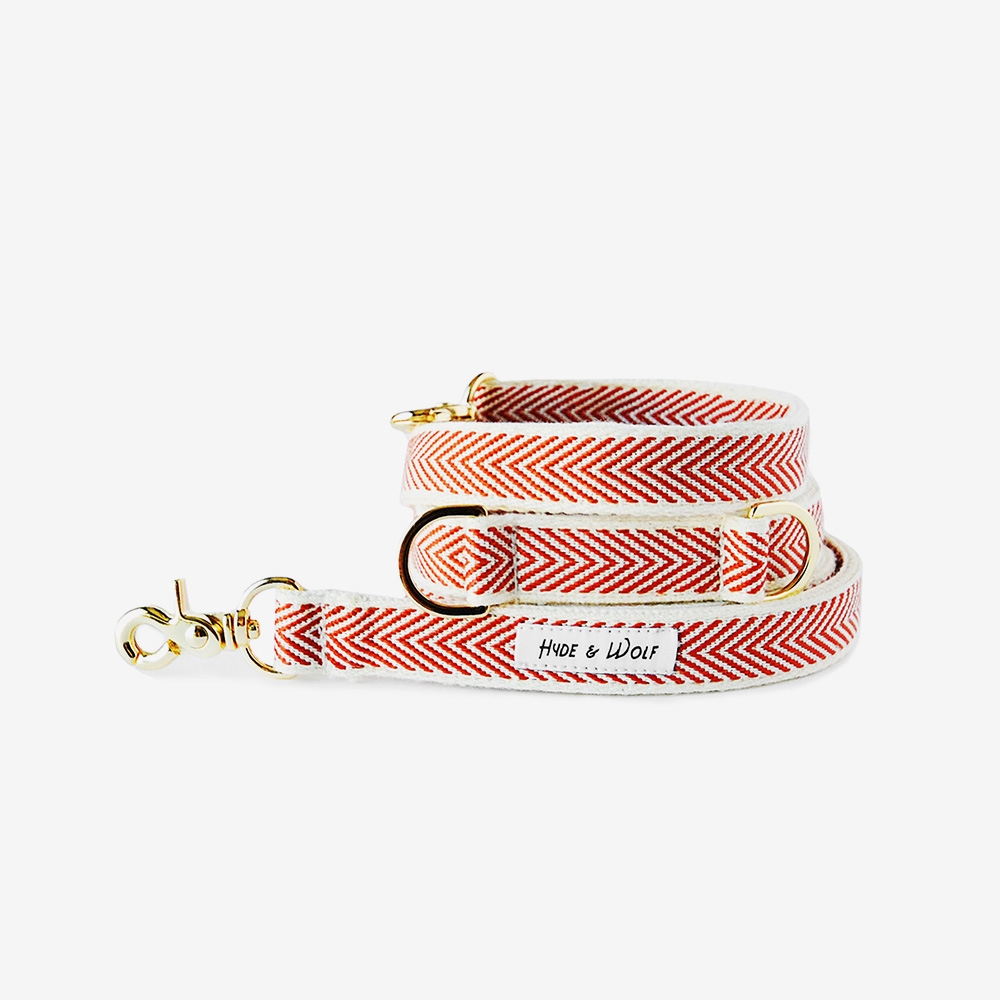 RED COBY GOLD LEASH