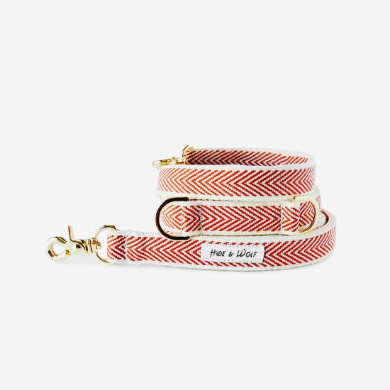 RED COBY GOLD LEASH