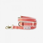 ORANGE COBY GOLD LEASH