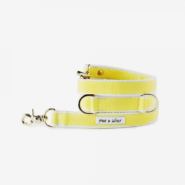 YELLOW COBY GOLD LEASH