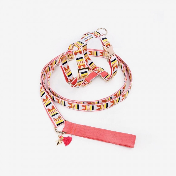 PINK CASTLE LEASH