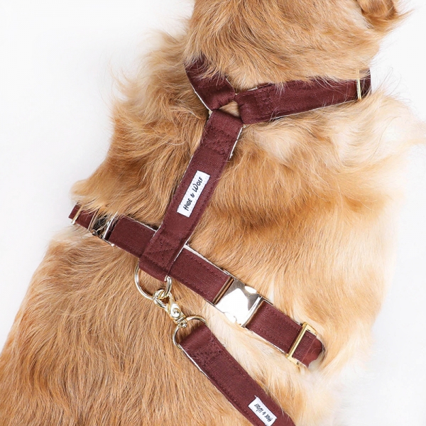 하이드앤울프 BROWN RAY GOLD HARNESS