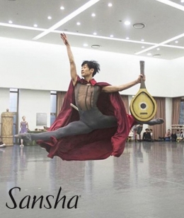 Sansha - H0352 (Footed 멜빵타이즈)