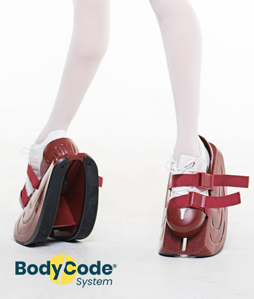 Bodycode - Master Stretch (스트레칭기구)