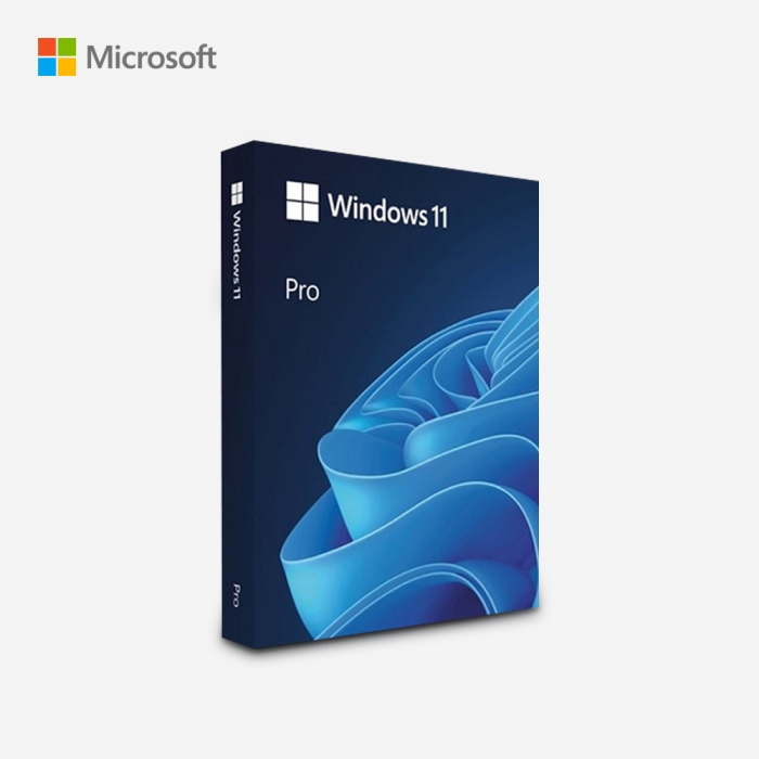 Windows 11 Pro