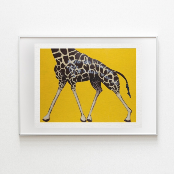 OHNIM LIMITED EDITION #Giraffe in My Eyes 1