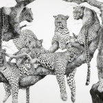 김남표 Nampyo KIM Instant Landscpe - Seven Leopards