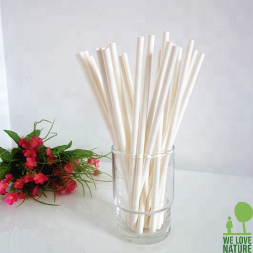 종이빨대 위러브네이처 친환경 생분해성 크라프트지 페이퍼스트로우 paper straws 일회용품 위생용품
