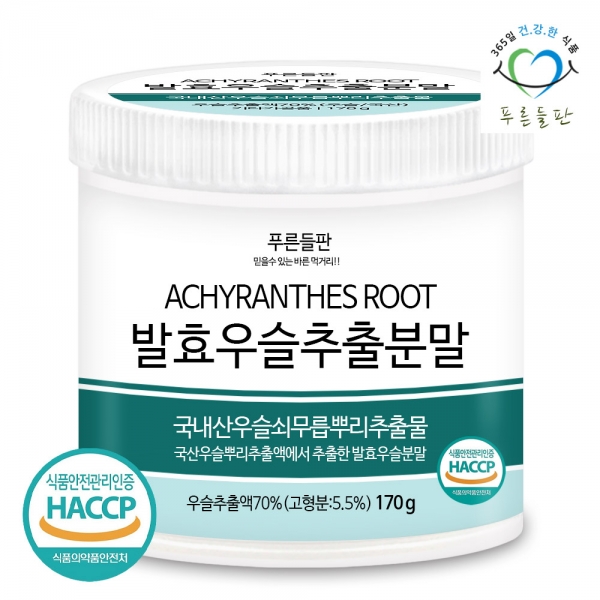 국산 발효 우슬 추출 분말 가루 국내산 쇠무릎 쇠무릅 쇠물팍 우술 우슬이 우수리 뿌리 추출물 농축 차 haccp 인증